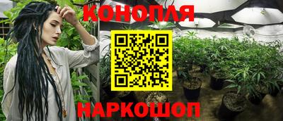 молекула духа Кулебаки