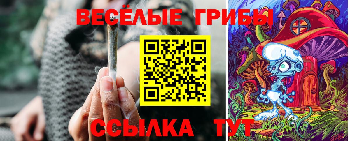 Псилоцибиновые грибы GOLDEN TEACHER  Вход с VPN  Вышний Волочёк 