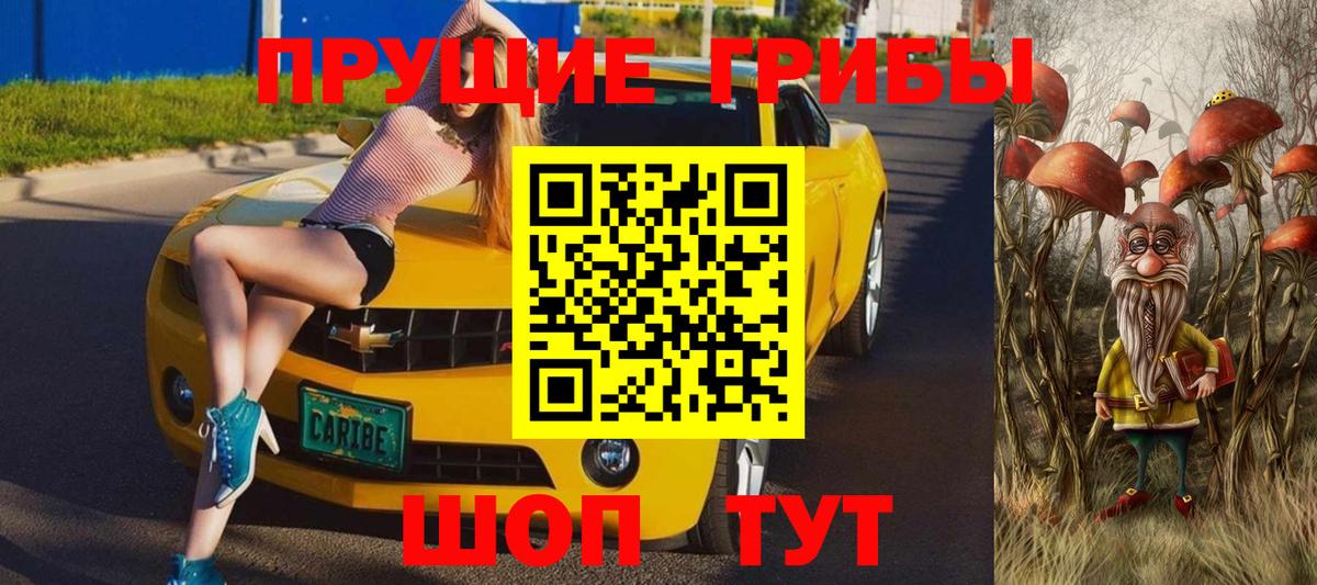 Псилоцибиновые грибы мицелий Вышний Волочёк