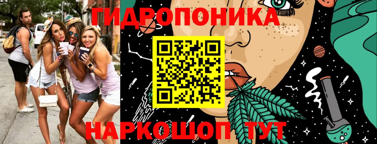 Бошки Шишки Amnesia  Бошки Шишки SATIVA & INDICA  Вышний Волочёк  Шишки марихуана сатива  Вход с VPN 